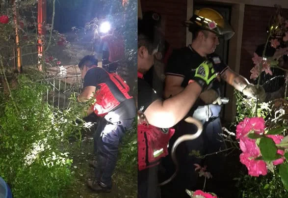 658141628_1413578060808167_309555816243036881_n