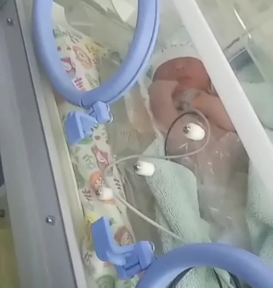 641016234_1384852543680719_8872510912859711631_n