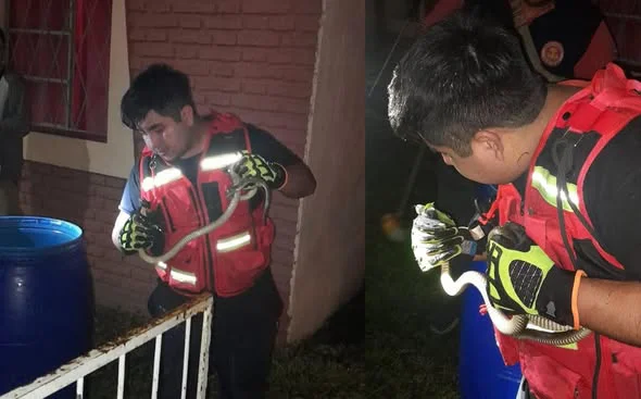 658945526_1413578064141500_911981317082582887_n