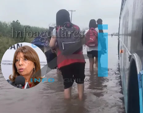 649406178_1398165579016082_4705140671519054325_n