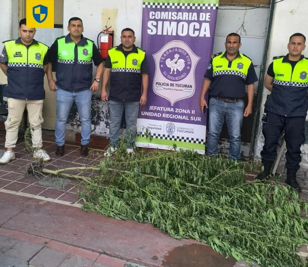 616391295_1353305170168790_3185797540590870467_n