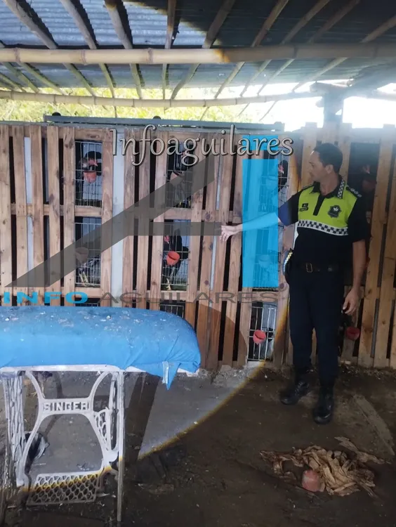 647272322_1394900129342627_414180776974600894_n