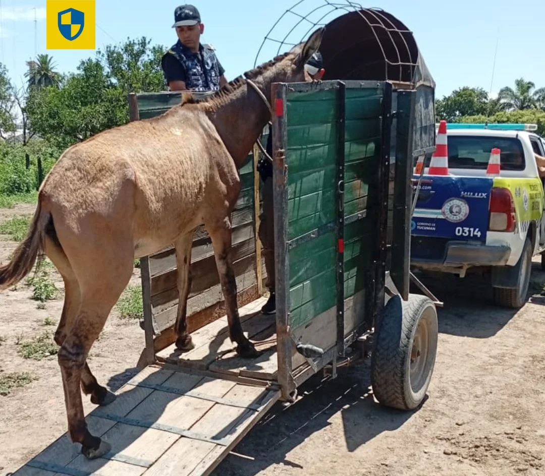 611370259_1345051090994198_8883285193949216118_n