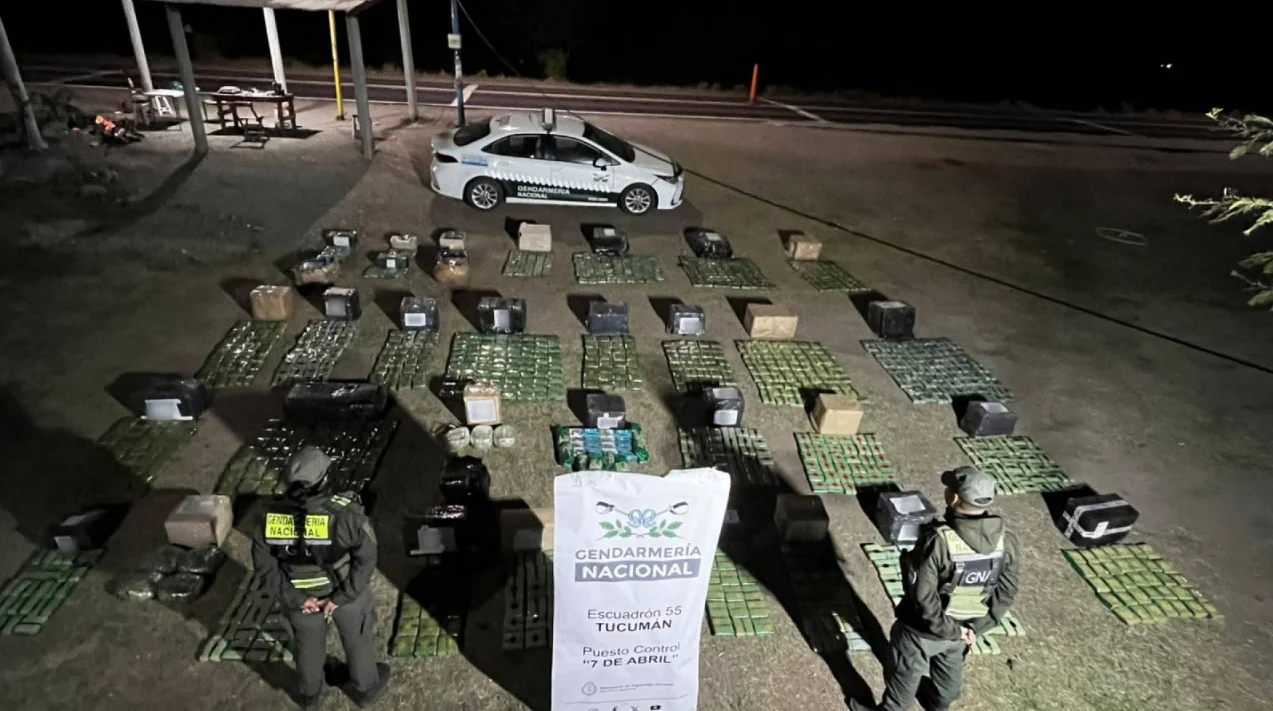 tucuman hojasdecoca
