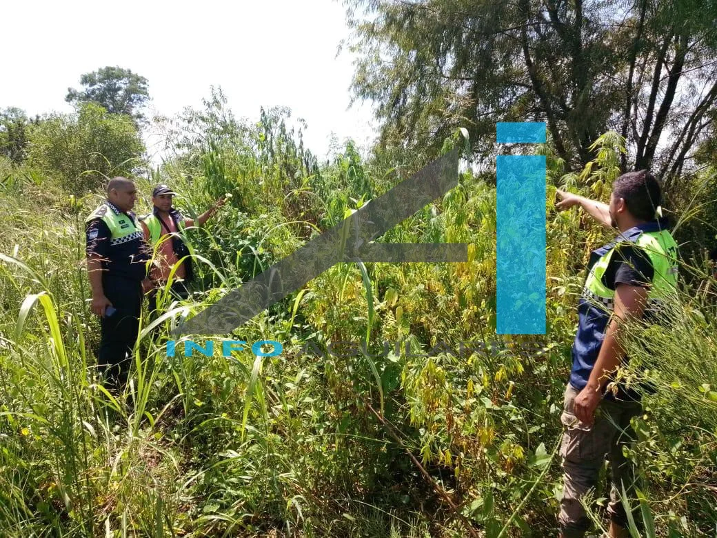 625215965_1364199519079355_6871727714857659758_n