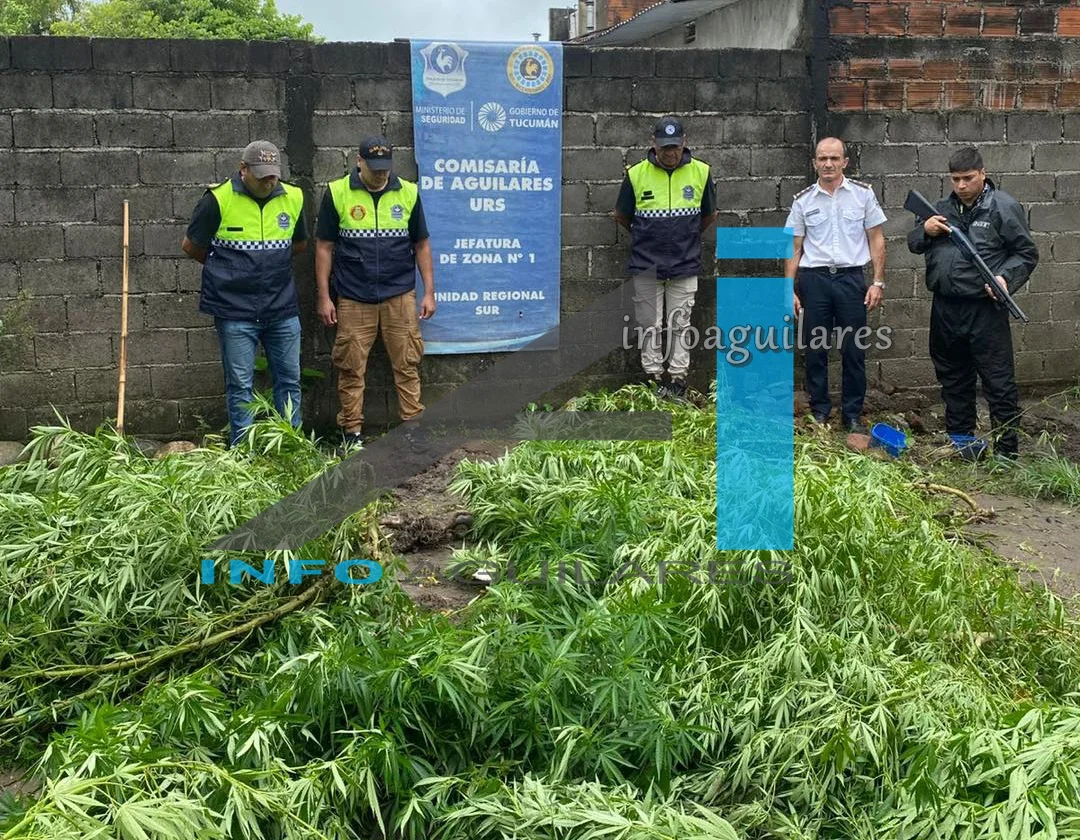 629743087_1370493615116612_8246075305075086664_n