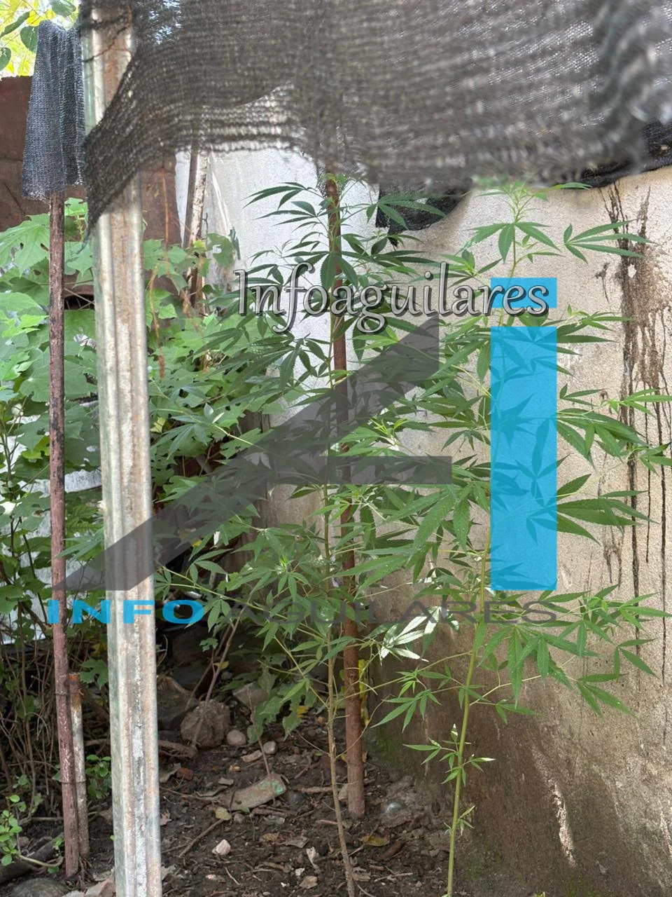 636836239_1382391257260181_5068315388175267764_n