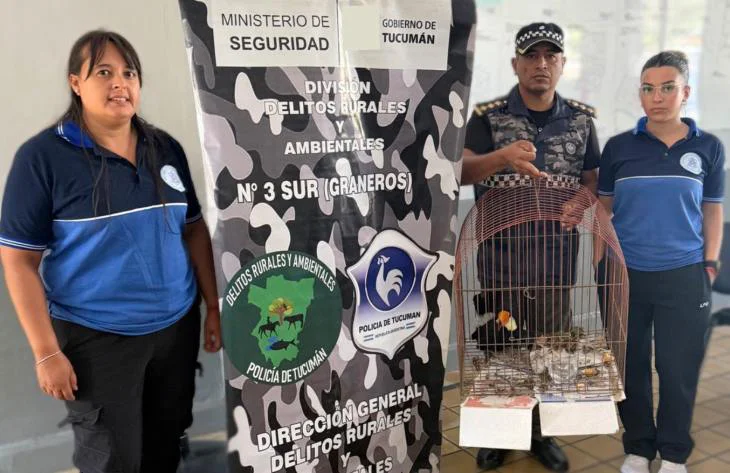 730x473_260507120318_25002