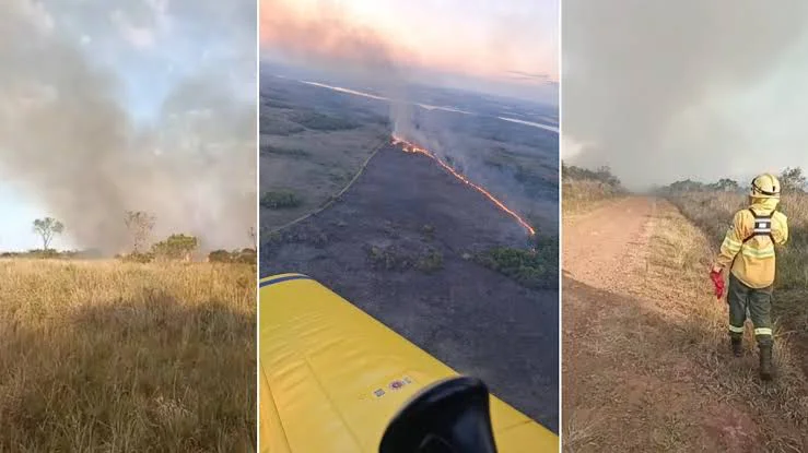 incendio misiones reserva
