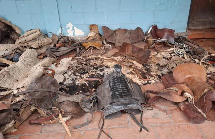 611765719_1342739447892029_791552848340617548_n